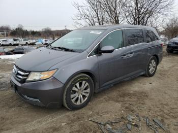  Salvage Honda Odyssey