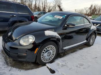  Salvage Volkswagen Beetle