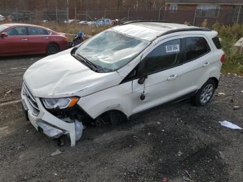  Salvage Ford EcoSport