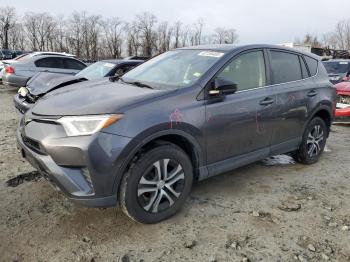  Salvage Toyota RAV4