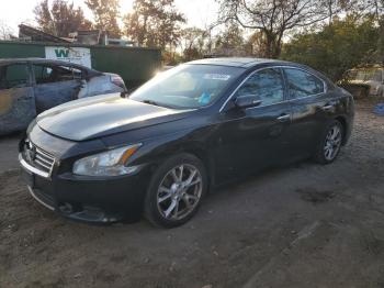  Salvage Nissan Maxima