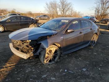  Salvage Acura TLX