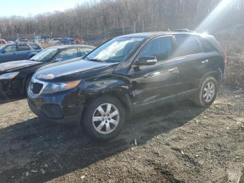  Salvage Kia Sorento