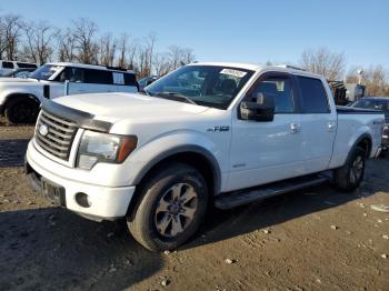  Salvage Ford F-150