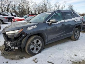  Salvage Toyota RAV4