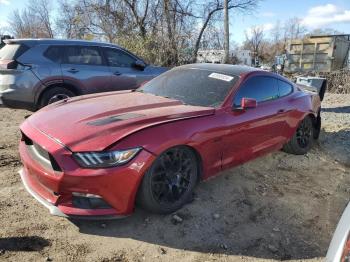  Salvage Ford Mustang