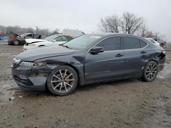  Salvage Acura TLX