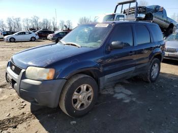  Salvage Ford Escape