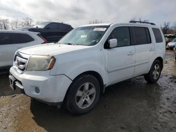  Salvage Honda Pilot