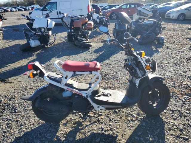  Salvage Honda Ruckus