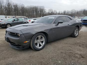  Salvage Dodge Challenger