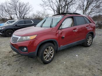  Salvage Kia Sorento