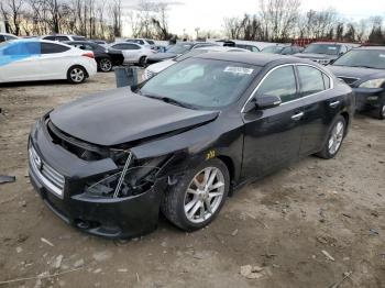  Salvage Nissan Maxima