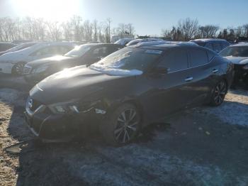  Salvage Nissan Maxima