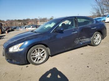  Salvage Nissan Maxima