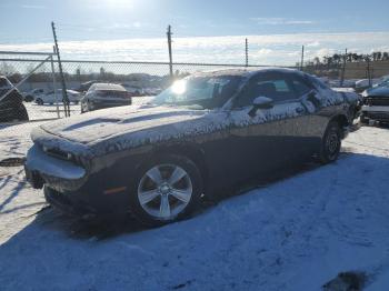  Salvage Dodge Challenger