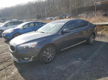  Salvage Kia Cadenza