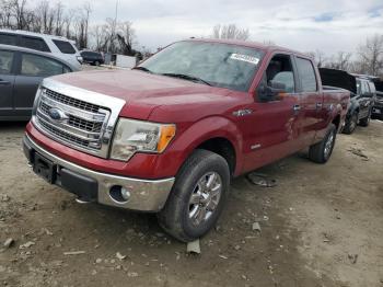  Salvage Ford F-150