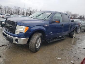  Salvage Ford F-150