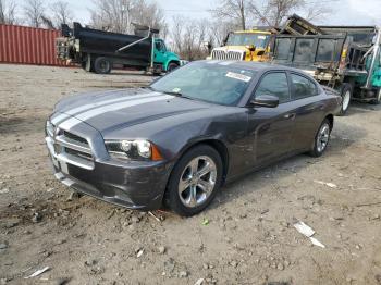  Salvage Dodge Charger