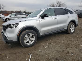  Salvage Kia Sorento