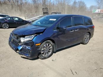  Salvage Honda Odyssey