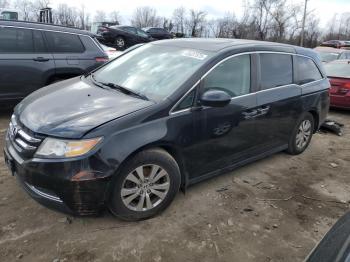  Salvage Honda Odyssey