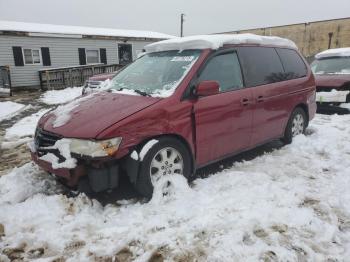  Salvage Honda Odyssey