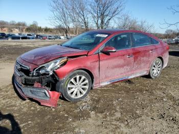  Salvage Hyundai SONATA