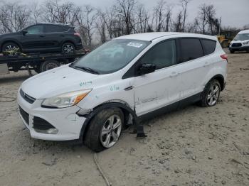  Salvage Ford Escape