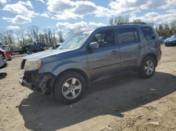  Salvage Honda Pilot