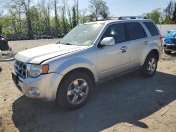  Salvage Ford Escape