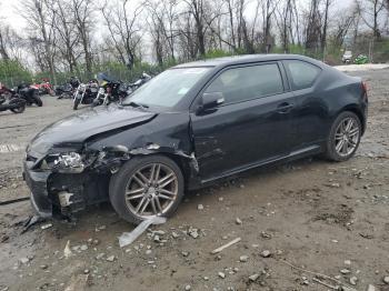  Salvage Toyota Scion