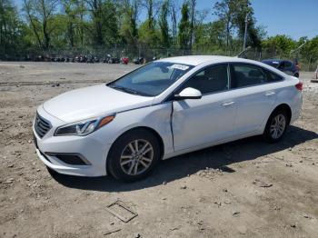  Salvage Hyundai SONATA