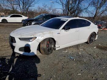  Salvage Acura TLX