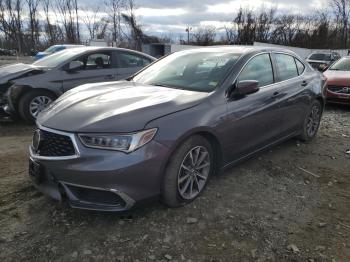  Salvage Acura TLX