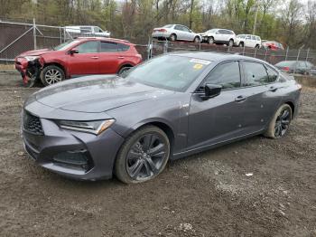  Salvage Acura TLX