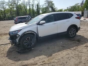  Salvage Honda Crv