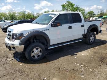  Salvage Ford F-150