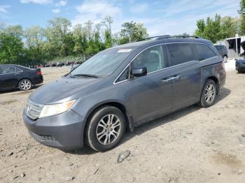  Salvage Honda Odyssey
