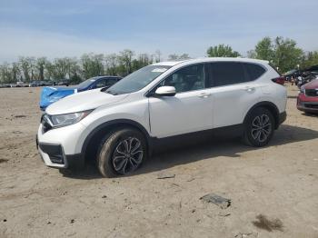  Salvage Honda Crv