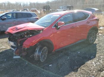  Salvage Lexus NX