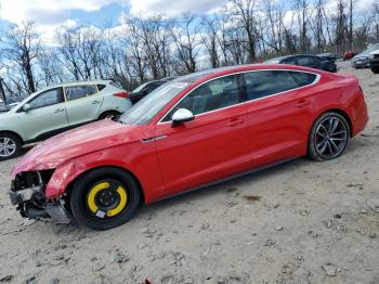  Salvage Audi S5
