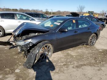  Salvage Acura TLX