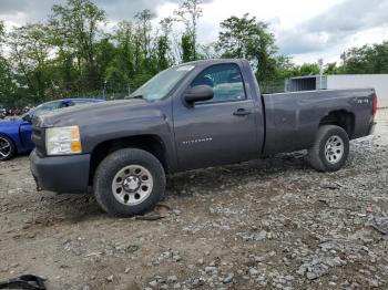  Salvage Chevrolet Silverado