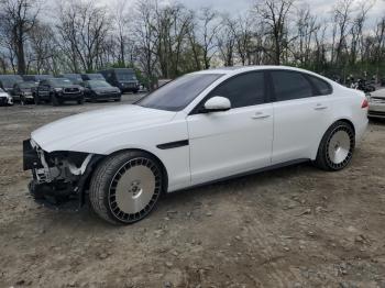  Salvage Jaguar XF