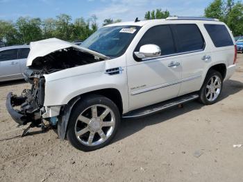  Salvage Cadillac Escalade