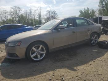  Salvage Audi A4