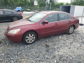  Salvage Honda Accord