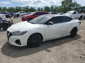  Salvage Nissan Maxima